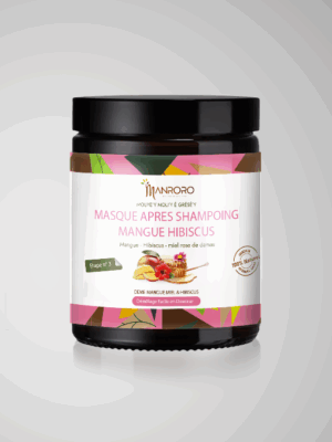 Masque Mangue Hibiscus